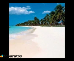 Opciones Para Invertir En Rd! - 3