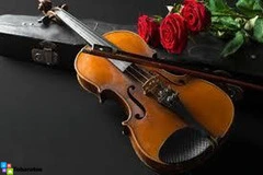 Para Sus Fiestas, Violinistas, Saxofonistas Y Grupo Tipico, Rd!! - 5