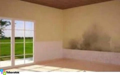 Filtrando, Lloviendo, Y Nosotros Resolviendo!! - 5