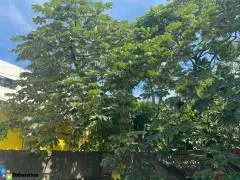 En Venta AV. 27 DE FEBRERO Amplio Terreno / Solar - 4