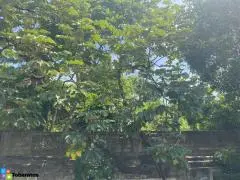 En Venta AV. 27 DE FEBRERO Amplio Terreno / Solar - 5