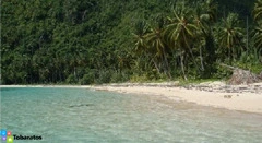 Terrenos lineales a la playa, las terrenas! - 5