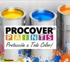 Pintar y cambiar fachada venta de pinturas santo domingo - 5