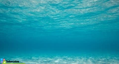 Vacaciones en las playas del caribe, rd! - 5