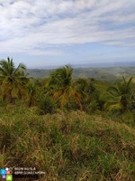 Terreno en El Limón - 500 Tareas a USD 12 por Metro Cuadrado - 4