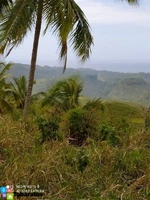Terreno en El Limón - 500 Tareas a USD 12 por Metro Cuadrado - 7