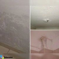 Remodelar, pintar y solucionar filtraciones, rd!! - 7