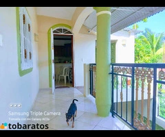 Apartamento de dos habitaciones en renta - 5