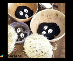 The Best Powerful SpirItual Herbalist Native Doctor IN Nigeria - 4