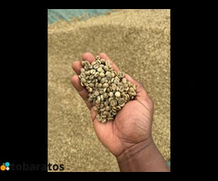 top-quality Ugandan robusta and Arabica coffee beans? Contact +27719755564 - 2