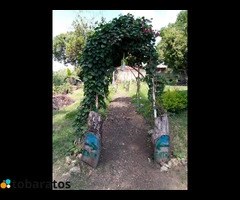 ALQUILO PISCINA GRATIS PARA BAUTISMO - 8