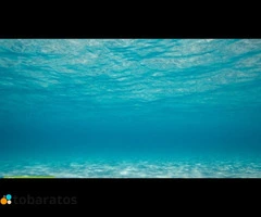 Pasare Las Navidades En Republica Dominicana.. - 4