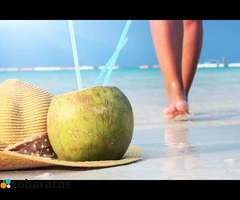 Pasare Las Navidades En Republica Dominicana.. - 5