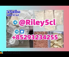adbb 5cladba powder 5cladba raw material 5CL-ADB-A precursor raw