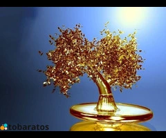 Venta de tarjetas de débito especialmente programadas.