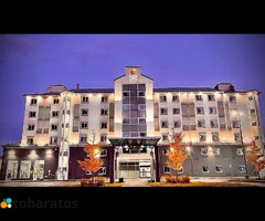 TRABAJA EN CANADÁ Y NUEVA ZELANDA  VACANTES INMEDIATAS