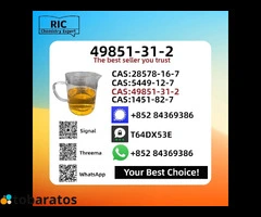 Factory PM.K CAS 28578-16-7 P.MK E.thyl Glycid.ate - 2