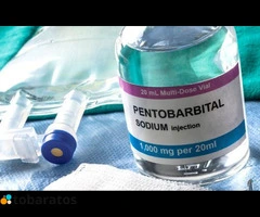 Buy Nembutal (Pentobarbital)