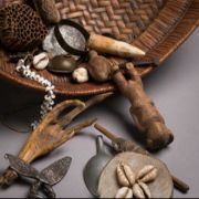 Prof. Balaj Herbal Clinic